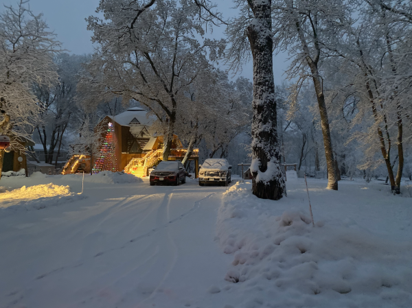 Cars covered after a heavy snowfall. Credit: H. Ghani
