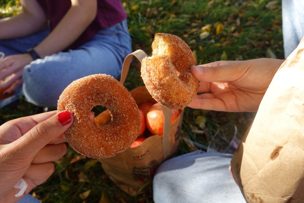 Eating donuts, apples, and drinking apple cider from the Dexter Cider Mill on a fall afternoon.