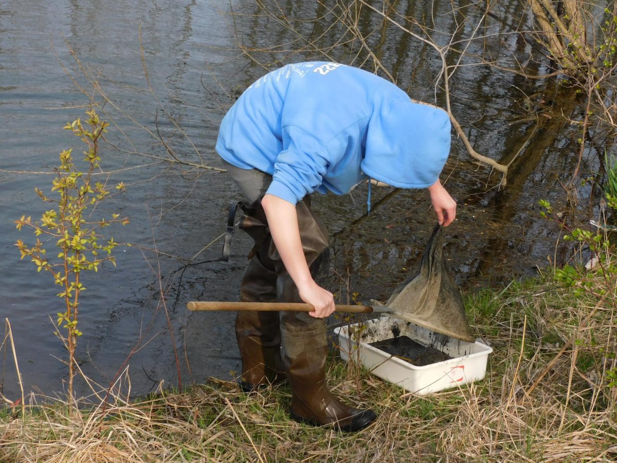 An APES student collecting data during an annual pond project testing Skyline’s pond water quality.
