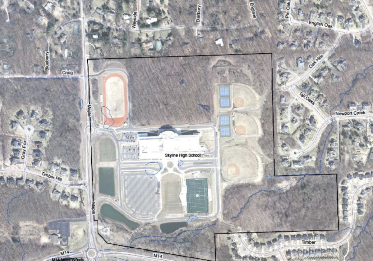 All of the blue marks represent old wetland/stream locations on property. The black outline represents Skyline’s property boundaries. 