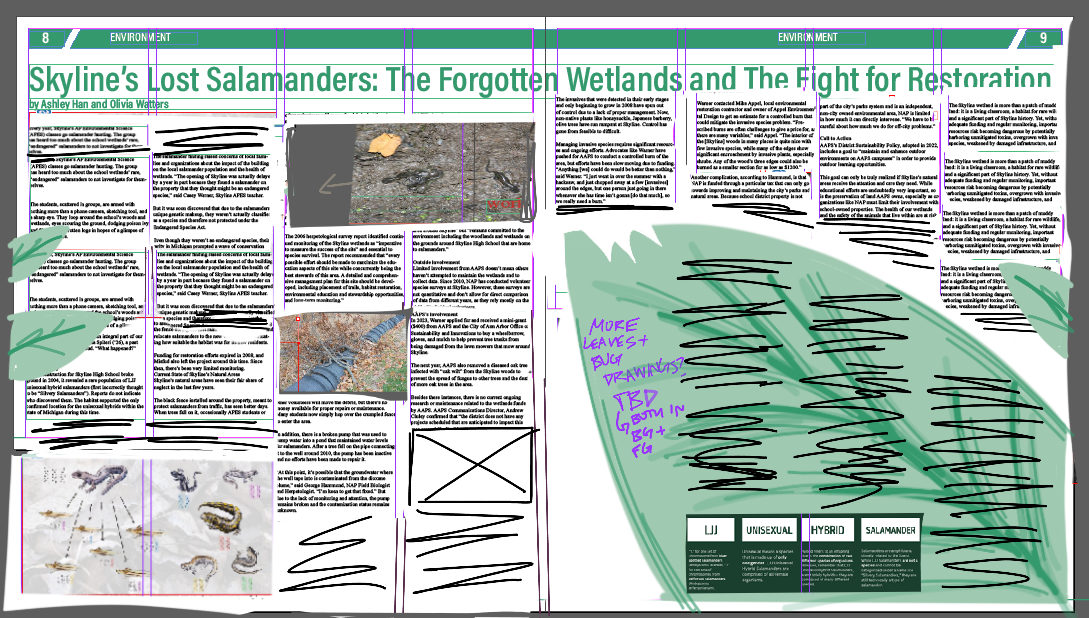 The Environmental Print Issue rough draft for Ashley Han and Olivia Watters’ salamander story.