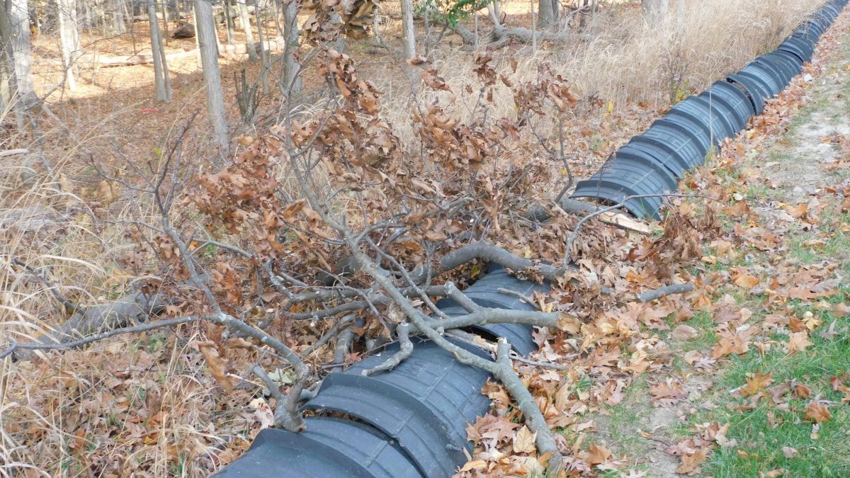 Fallen debris on the fence surrounding the Skyline woods. 