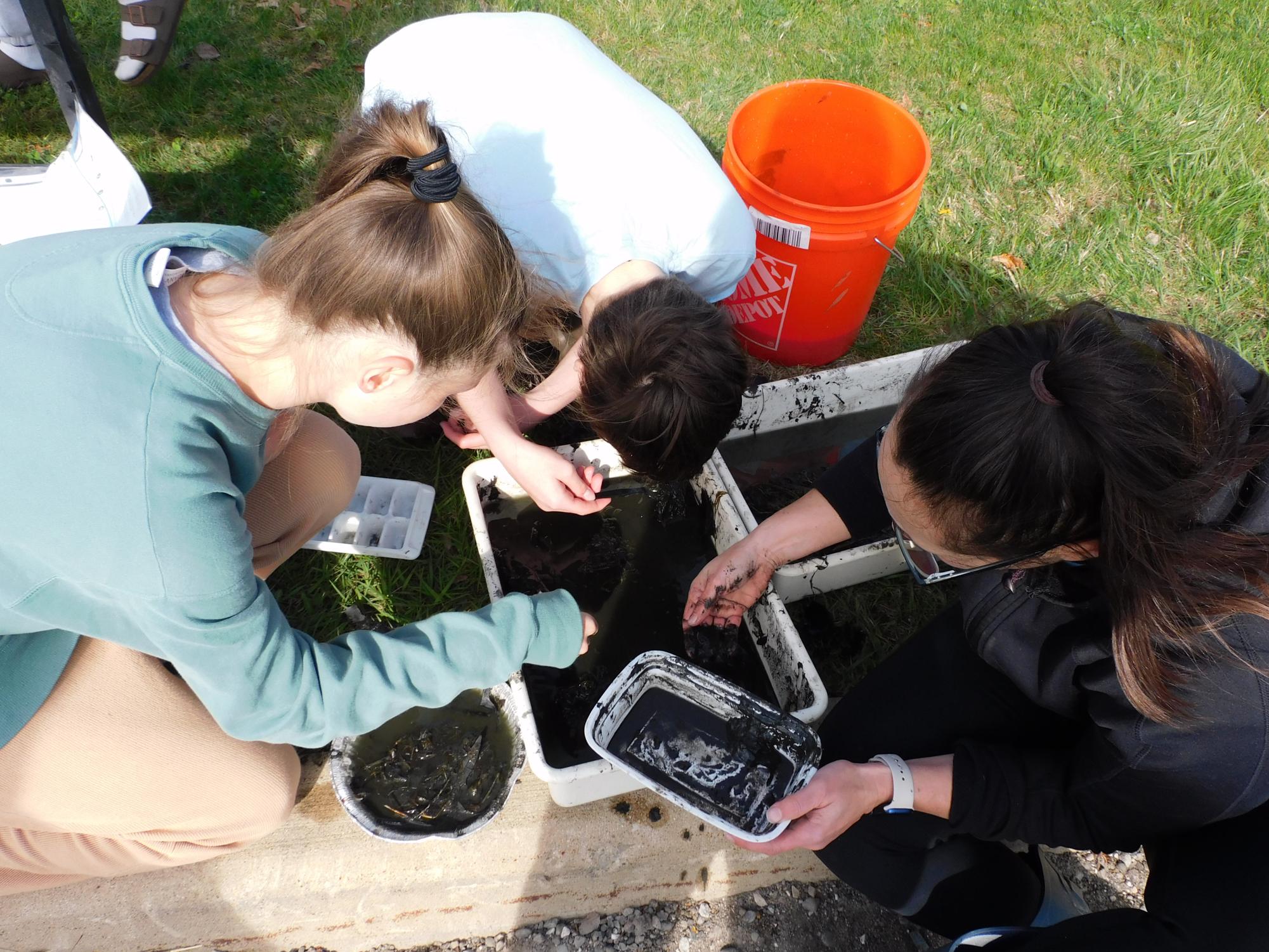 APES students collecting data during their annual pond project testing Skyline’s pond water quality.