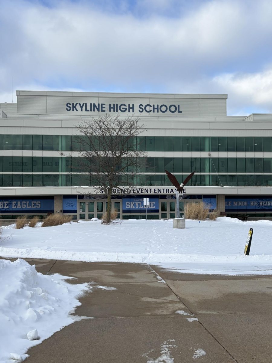 Skyline on a snowy day.