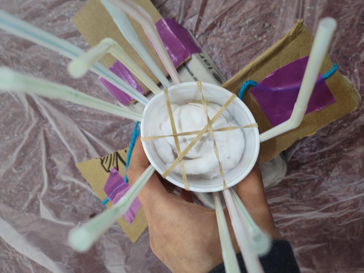 Olivia Szczepanski ('28) and Clara Guan's ('28) egg device after floating down from the third floor. 