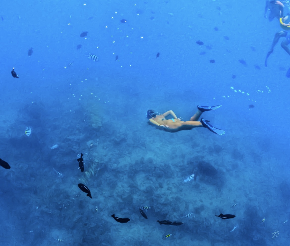 Maya Goldstein ('26) snorkeling with sea turtles.