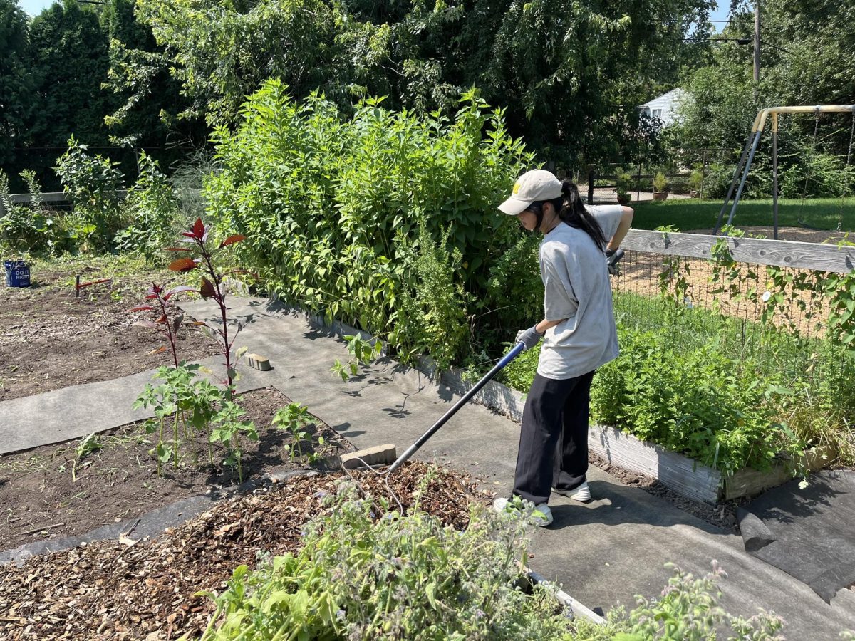 Grace Song ('25) working on an Eagle Project involving rebuilding the Haisley Garden.