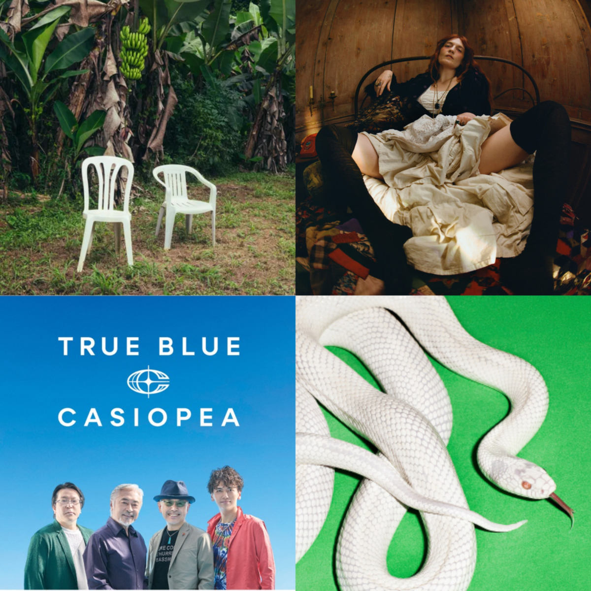 Album cover collage for Skyline's best album picks.