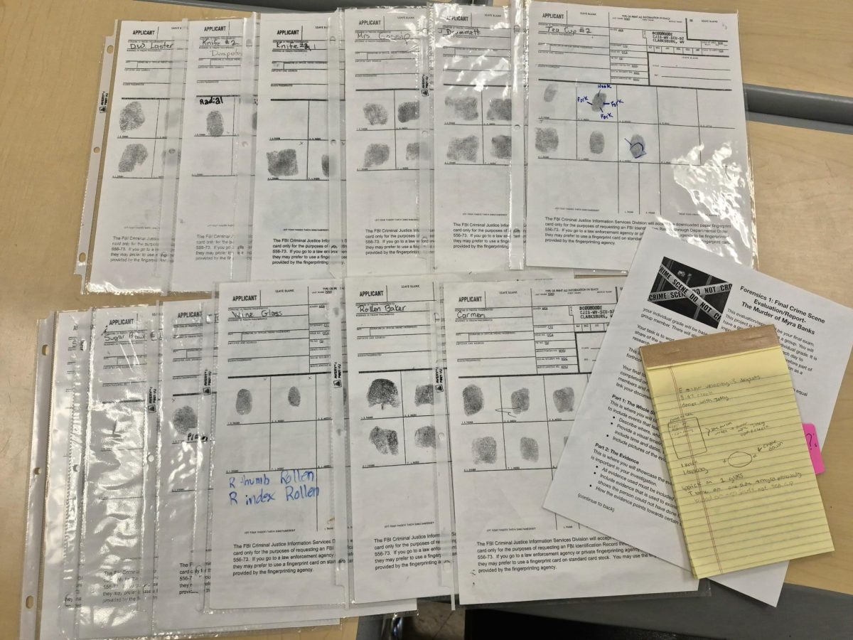 Fingerprint charts used as evidence by students.